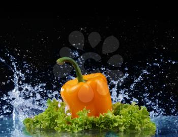 Pepper in spray of water. Juicy pepper with splash on black background