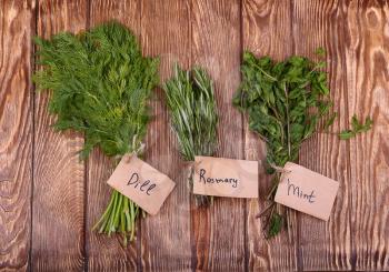 Fresh herbs hanging over wooden background