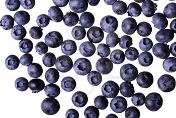 Picture with sweet blueberry isolated on white background