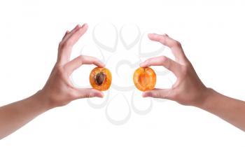 ripe apricots in a hand on a white background