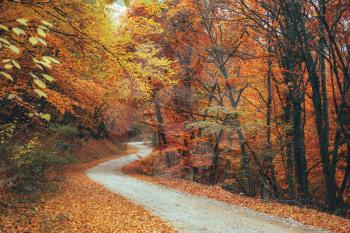 Beautiful autumn forest mountain path autumn mountain landscape. asphalt road going to mountains passes through the forest