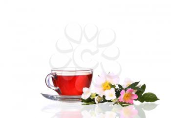 Cup of tea and dog rose on white background