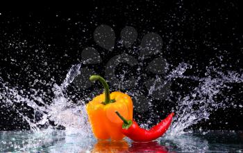 fresh water splash on red sweet pepper in black background with copy space