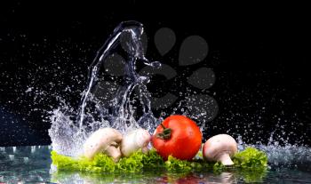 Red tomato cherry, mushrooms and green fresh salad with water drop splash with copy space
