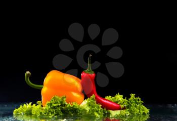 fresh water splash on red sweet pepper in black background with copy space