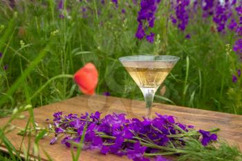 Wine glass against rural landscape, flower collection. Spring begin. purple flower field