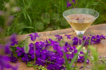 Wine glass against rural landscape, flower collection. Spring begin. purple flower field