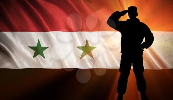 Flag with original proportions. Flag of the Syria