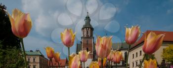 Historic city of Krakow in Poland. Beautiful old Wawel Castle in Krakow through beautiful tulips. Cultural heritage. 24 April 2018