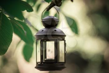 Lantern with a candle in the summer forest