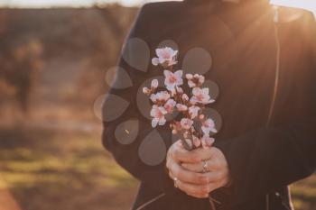Beautiful flowering peach. Background with flowers on a spring day, sunset. Hand with a branch on a background