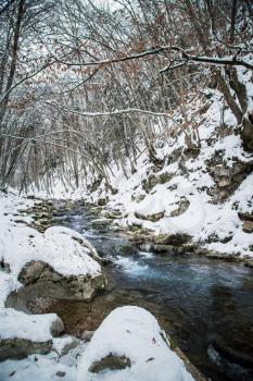 Winter landscape with the wood river. Russian winter. Ctimea Grand Canion