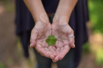 Hand holding green clover leaf sending to another hand. Blur nature background. Rim light. Little warm tone. Focus on clover leaf.