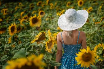 beautiful sweet sexy girl in a blue dress walking on a field of sunflowers , smiling a beautiful smile,cheerful girl,style, lifestyle , ideal for advertising and photo sun shines bright and juicy