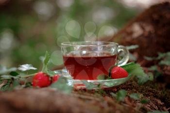 Fruit red tea with wild berries in glass cup, in forest, on bright background. summer season. concept of tea time and summer. soft selective focus.