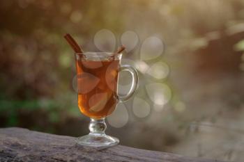 glass cup with tea in the forest, in the forest of sunlight. The concept of ecological approach, the interaction of nature and man.