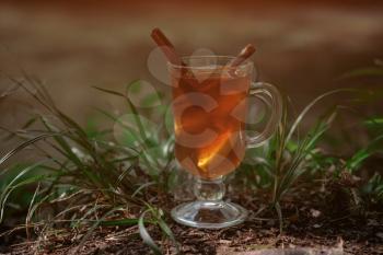 glass cup with tea in the forest, in the forest of sunlight. The concept of ecological approach, the interaction of nature and man.