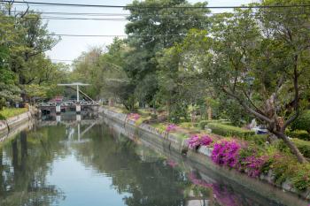 River in Bangkok, Thailand, beautiful purple flowers along the canal banks