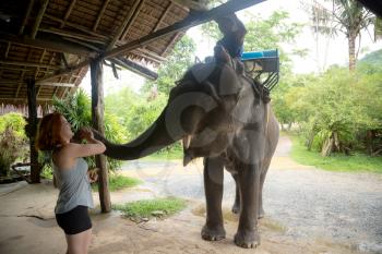Asian natural scenery. Young red-haired girl feeding an elephant after a walk. Popular attraction in Thailand