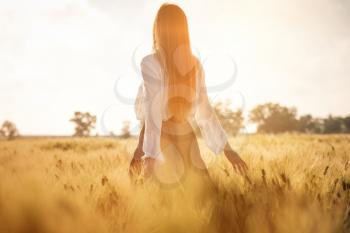 Red-haired girl in a wheat field at sunset. Beautiful woman in golden field at sunset, Backlit warm tones