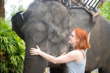 Red-haired girl stroking an elephant. After walking through the jungle. Beautiful green jungle after the rain. Asian natural scenery.