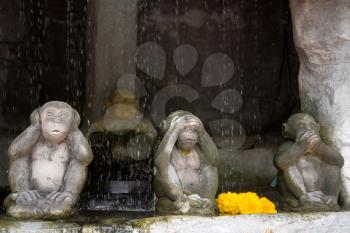 Statue at the Golden Mountain in Bangkok. Three monkeys in the foreground with the famous pose.