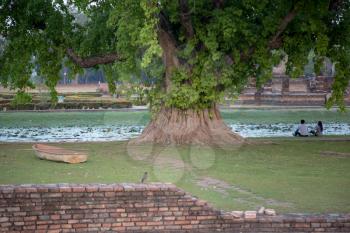 Back view of a asian couple watching sun on the park in Sukhothai, Thailand. in Sukhohai Historical Park, Thailand