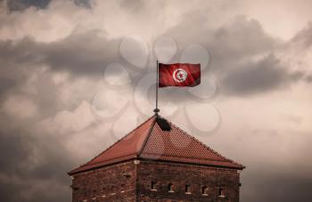 Flag with original proportions. Flag of the Tunisia