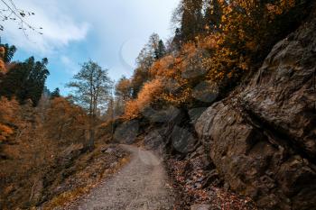 River deep in mountain forest. Nature composition. Mendelich River in the North Caucasus, Rosa Khutor, Russia, Sochi. Trail in autumn forest, fog and rain