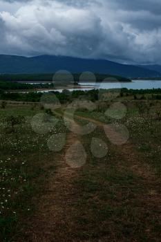 panoramic view of green daisy fields and trees and small dirt road. Daisies in the field near the mountains and lake. Nature floral background.