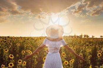 Beautiful young woman enjoying nature on the field of sunflowers. stands back and looks at the sunset, the girl raised her hands in the air, beautiful back sunset light.