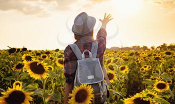 Beautiful young girl enjoying nature on the field of sunflowers at sunset. a young Asian traveller wearing a plaid shirt, hat and jeans walks in a field