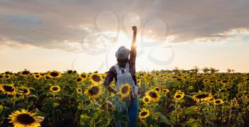 Beautiful young girl enjoying nature on the field of sunflowers. stands back and looks at the sunset,