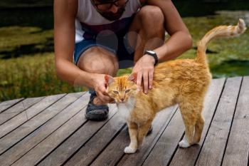 A man is playing with a domestic red tabby cat. The cat rubs on the mans leg. after the rain