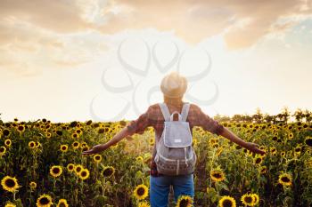 Beautiful young woman enjoying nature on the field of sunflowers. stands back and looks at the sunset, the woman raised her hands in the air, beautiful back sunset light.