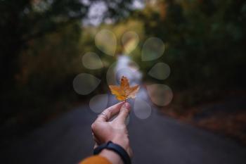 Female Hand holding a yellow leaf in the middle of a road in forest surrounded by the autumn trees. autumn warm background
