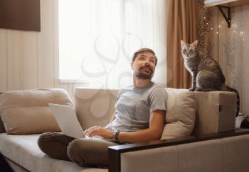Bearded businessman sits in sofa and uses laptop, next sits gray cat. Man working, blogging.