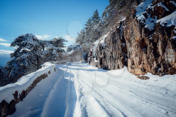 Snowy Road in Winter Forest. Awesome winter landscape. A snow-covered path among the trees in the wild forest.
