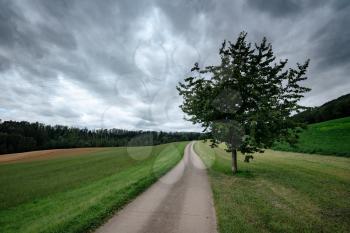 An empty country road through the green fields on a cloudly summer day. Forest in the background. Grey storm clouds. Lonely tree by the road
