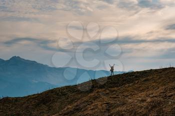 silhouette of Young male hipster in the mountains in autumn with raised hands. Discovery Travel Destination Concept. Tourist on the high rocks background. Sport and active life concept.