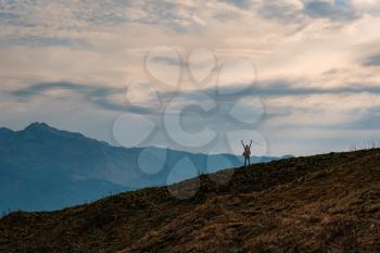silhouette of Young male hipster in the mountains in autumn with raised hands. Discovery Travel Destination Concept. Tourist on the high rocks background. Sport and active life concept.