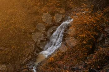 River deep in mountain forest. Nature composition. Mendelich River in the North Caucasus, Rosa Khutor, Russia, Sochi. beautiful cascading waterfall in the autumn forest, fog and rain.