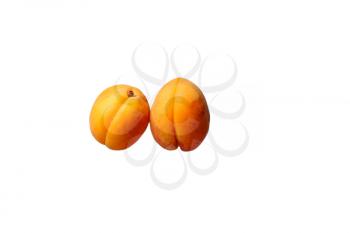 Two whole apricots isolated on white background