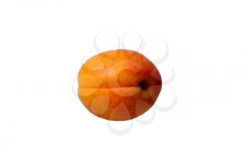 Single whole apricot isolated on white background. idea and concept of healthy and proper nutrition, organic products