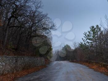 the morning autumn forest mountain road in the fog, Magical Spring Forest with a Road as a leading line. Beautiful Scene