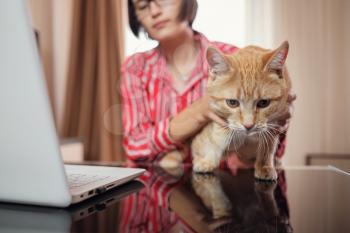 business woman in a red shirt with a ginger cat is sitting at a table in the home office and looking at an open laptop. A woman communicates via video conference while the cat is on the table