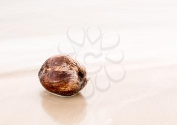 Single coconut floating on very calm smooth ocean taken with long shutter speed to flatten out the ripples