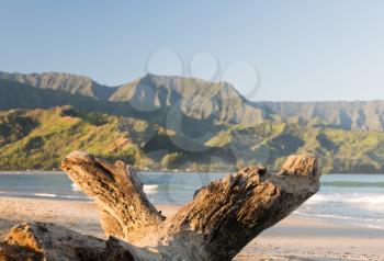 Bay from Hanalei beach with an old log or driftwood framing view at Hanalei, Kauai, Hawaii