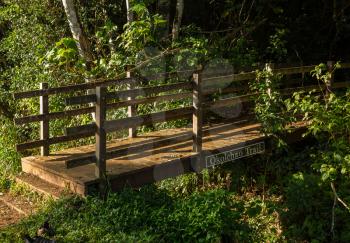 Entrance bridge to Okolehao Trail up mountainside near Hanalei, Kauai, Hawaii