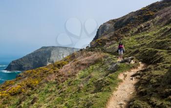 Female hiker walks the South West Coast Path along cliffs and headlands near Tintagel, Cornwall, England, UK